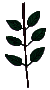 4b6p2.gif (1526 bytes)