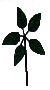 4b6p3.gif (1437 bytes)